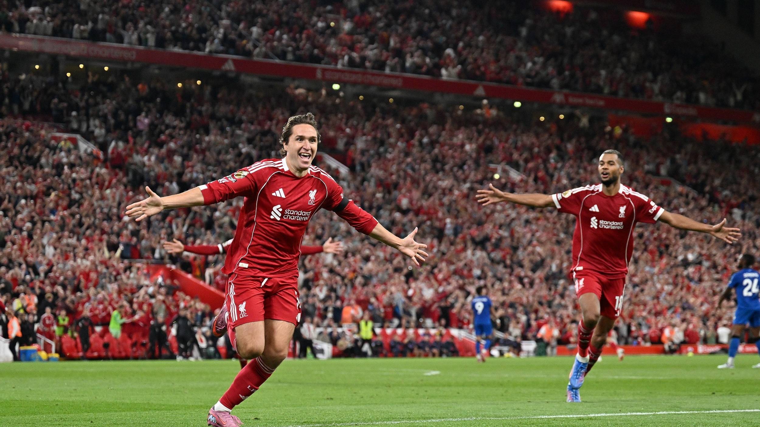 套系统化的 套系统化的